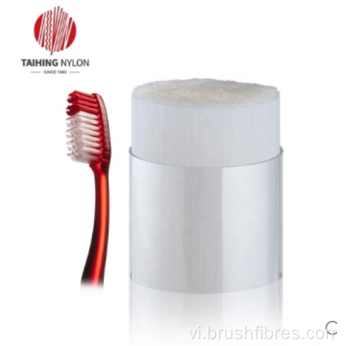 Dây tóc lông bàn chải đánh răng nylon612